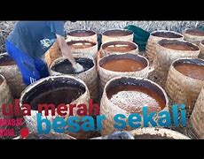 Bahan Dasar Pembuatan Gula Merah